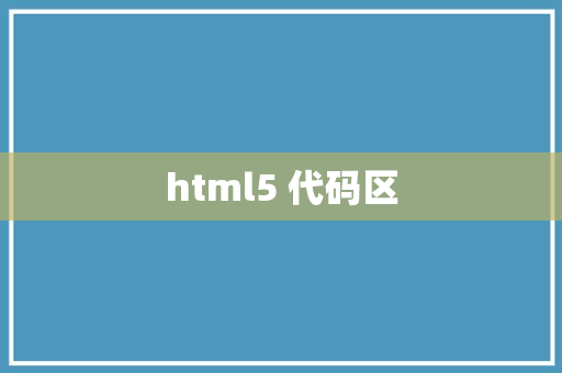 html5 代码区