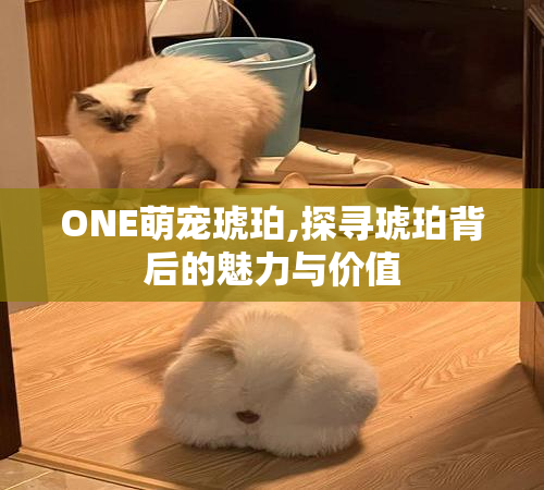 ONE萌宠琥珀,探寻琥珀背后的魅力与价值