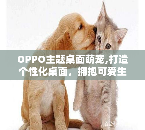 OPPO主题桌面萌宠,打造个性化桌面，拥抱可爱生活