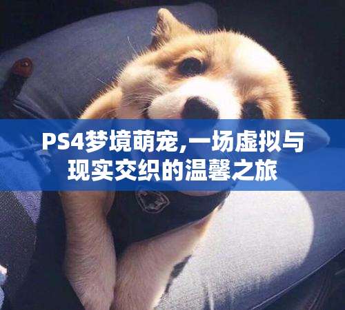 PS4梦境萌宠,一场虚拟与现实交织的温馨之旅