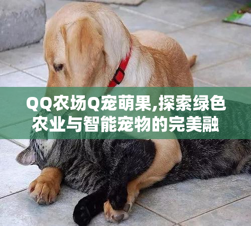 QQ农场Q宠萌果,探索绿色农业与智能宠物的完美融合