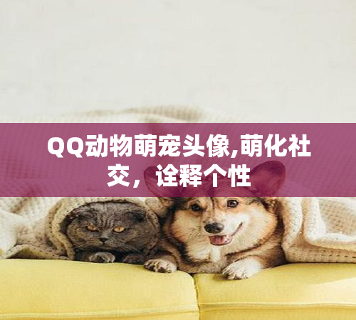 QQ动物萌宠头像,萌化社交，诠释个性