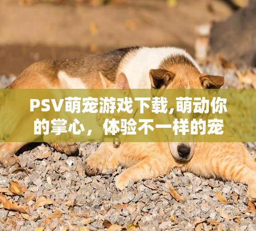 PSV萌宠游戏下载,萌动你的掌心，体验不一样的宠物养成乐趣