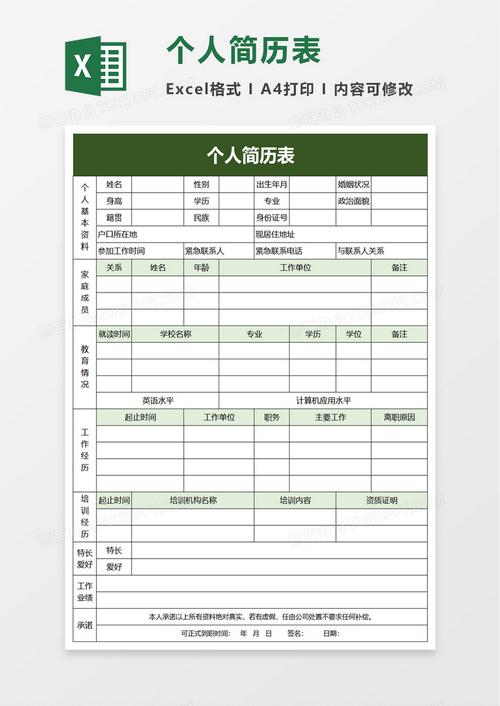 excle的通用个人简历表格-个人简历(excel格式的个人简历)