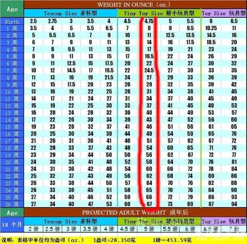 2个月幼犬体重是多少钱(两个月幼犬体重)