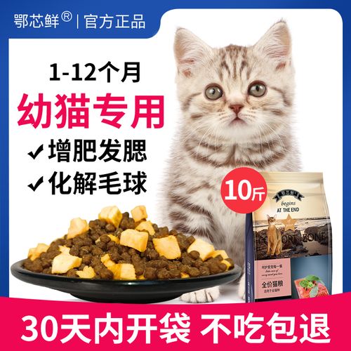 3个月猫吃多少(3个月猫吃多少60克猫粮合适)