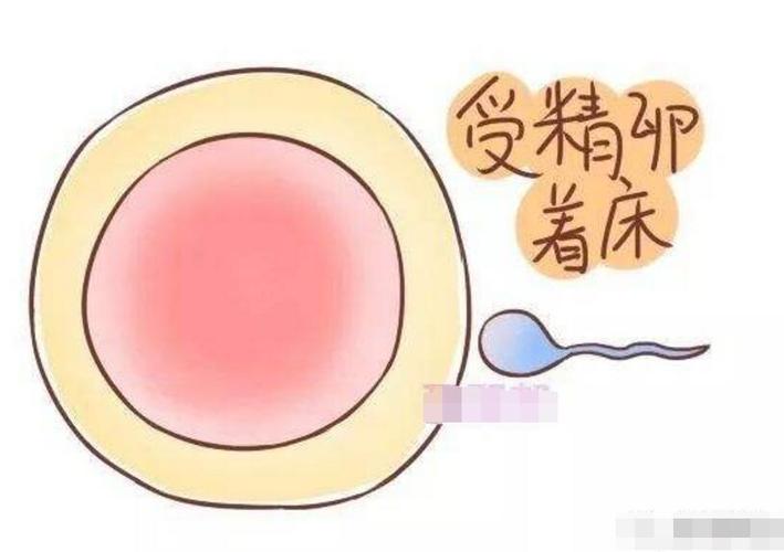 着床后会梦到什么(着床后会立马有反应吗)