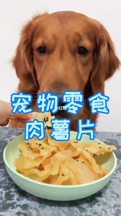 一个月狗狗可以吃什么(一个月狗狗可以吃什么零食)