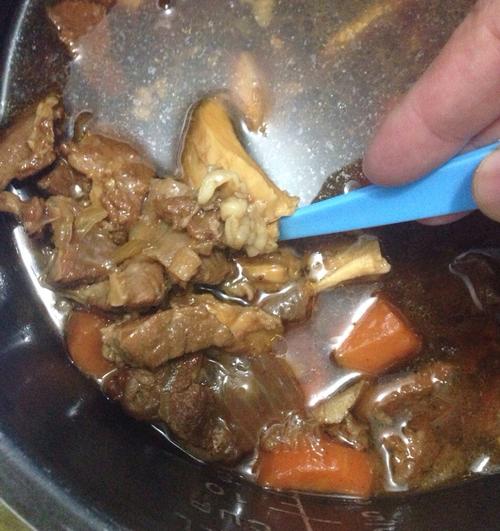 炖牛肉的家常做法大全视频(炖牛肉的家常做法简单)