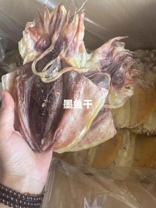 墨鱼干的功效与作用(墨鱼干的功效与作用及食用方法禁忌)