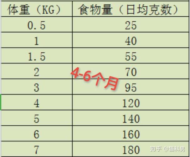 两个月小猫食量多少(两个月小猫食量多少正常)