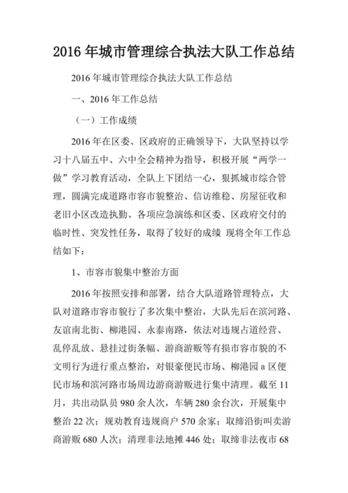 城市管理执法大队工作总结工作总结范文(城市管理执法大队工作内容)