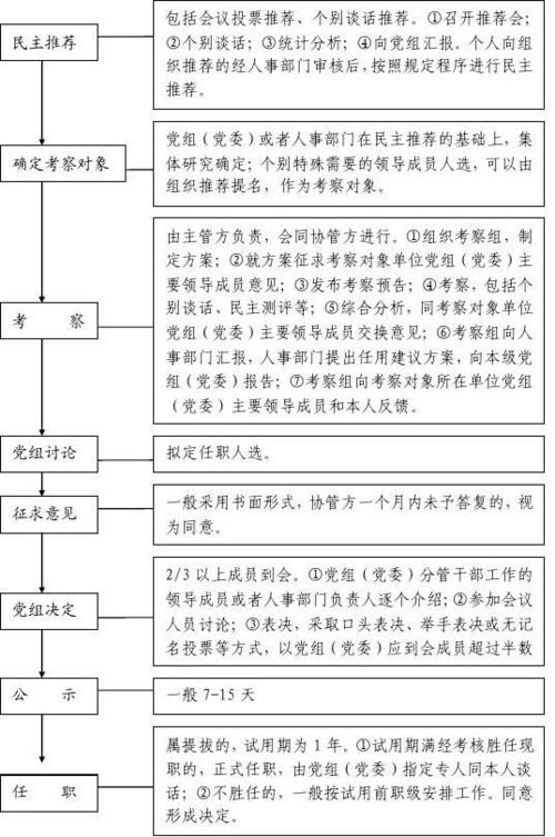 干部选拔任用工作流程(干部选拔任用工作条例)