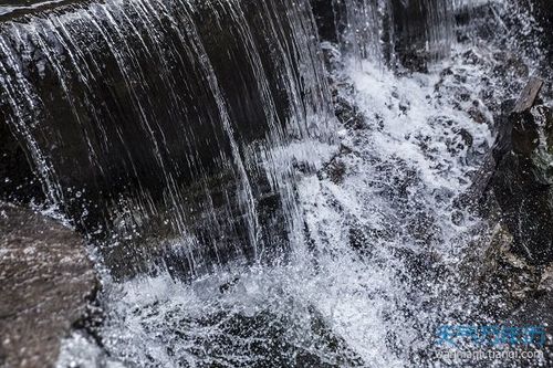 梦到泉水涌出是什么(梦见泉水溢出往外流)