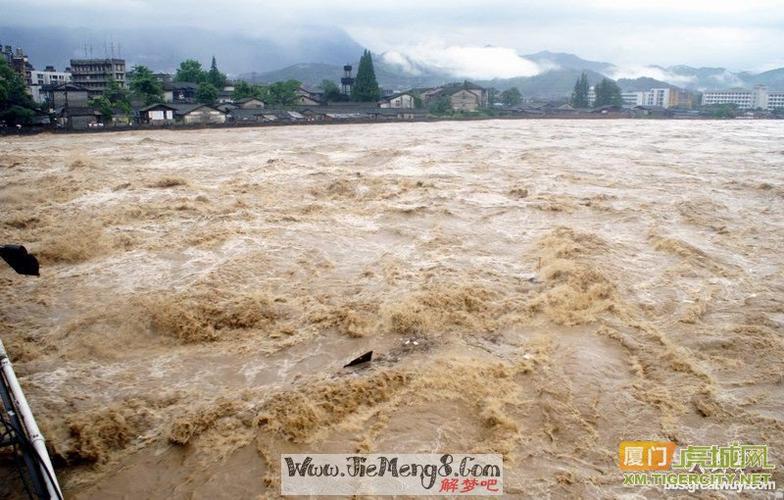 梦到被洪水冲走(梦到被洪水冲走什么预兆)