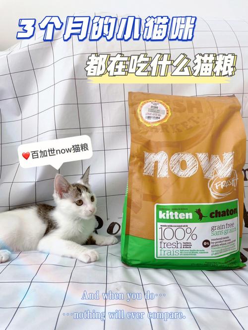 三个月换一次猫粮牌子(三个月的猫粮)