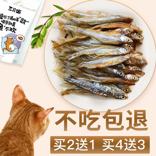 3个月的猫咪可以吃小鱼干吗(三个月的小猫能吃鱼干吗)