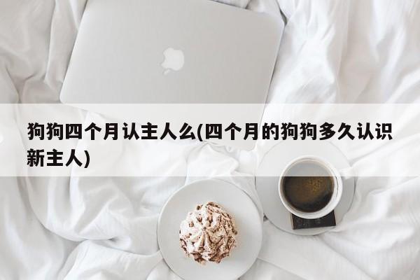 狗狗四个月认主人么(四个月的狗狗多久认识新主人)